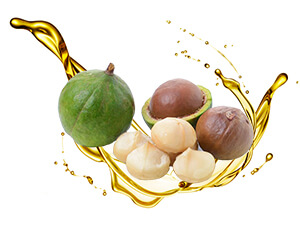 tamanu-oil tamanu oil image