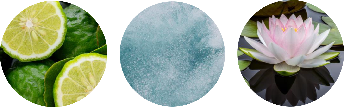 Zesty Bergamot, Cool Aldehydes, Water lily